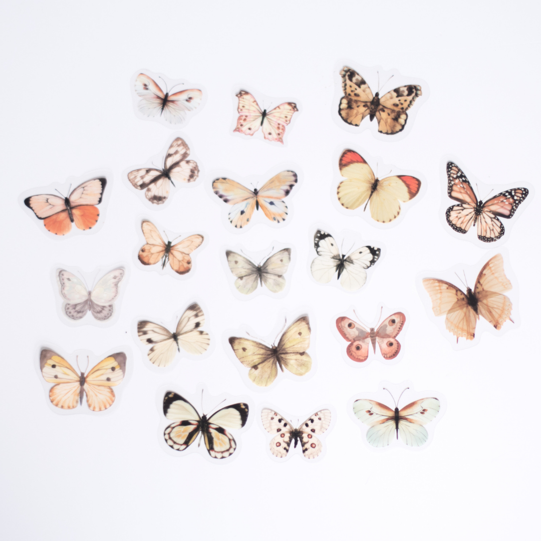 Stickers transparentes scrapbook