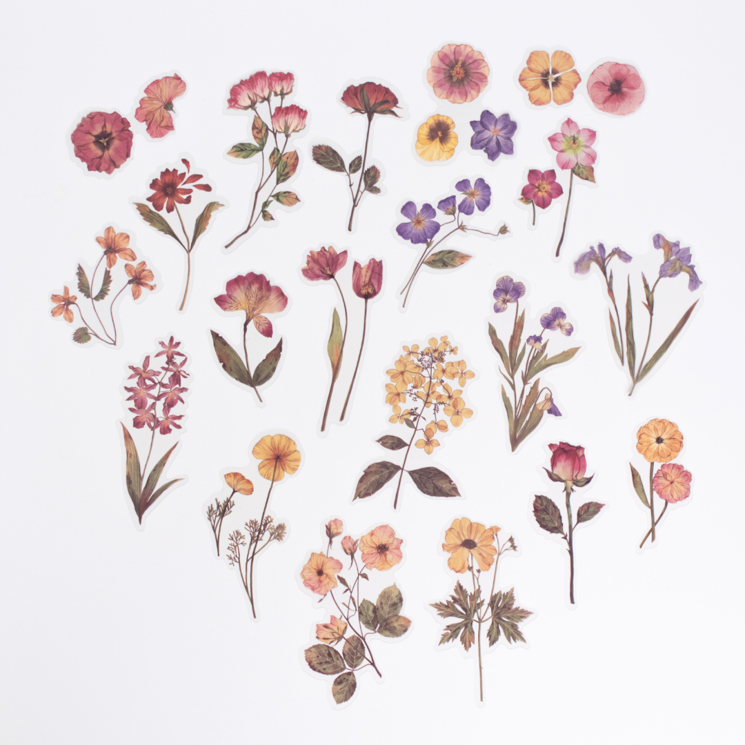 Stickers transparentes scrapbook